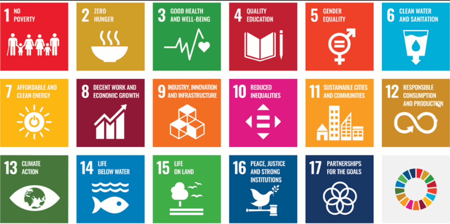 The 17 United Nations Sustainable Development Goals